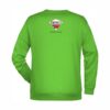 sweater-herren-SCHLADMING-limegreen-rs